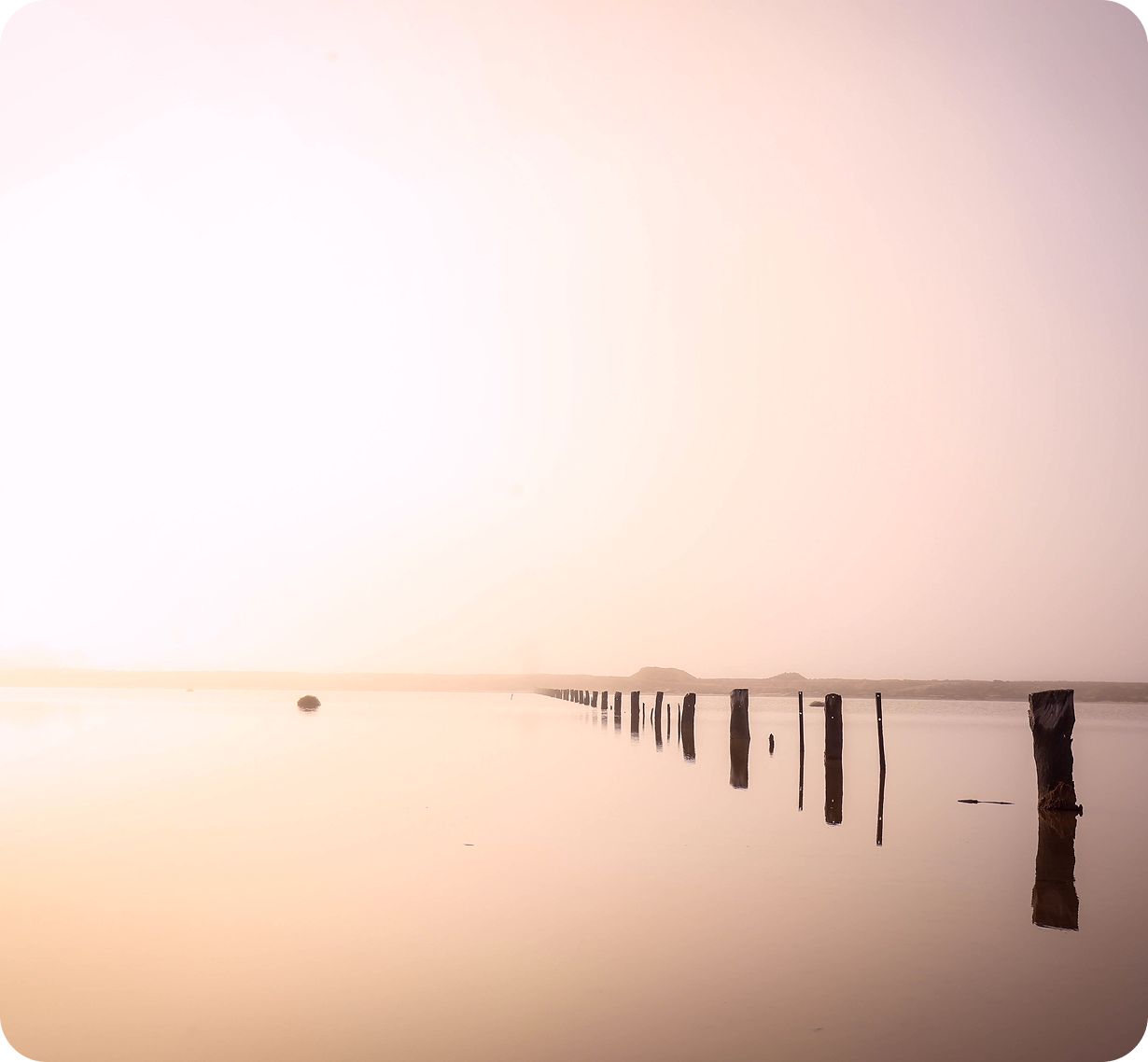 Let’s Talk 
Trina Wyatt’s